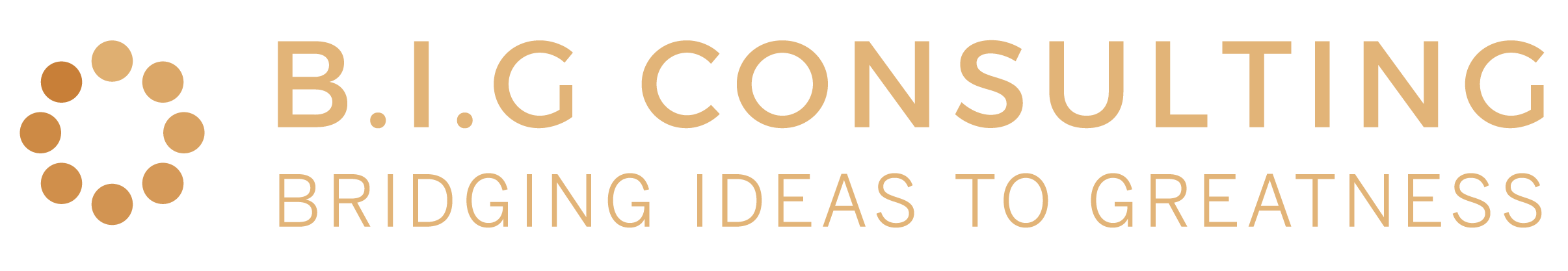 Logo B.I.G Consulting